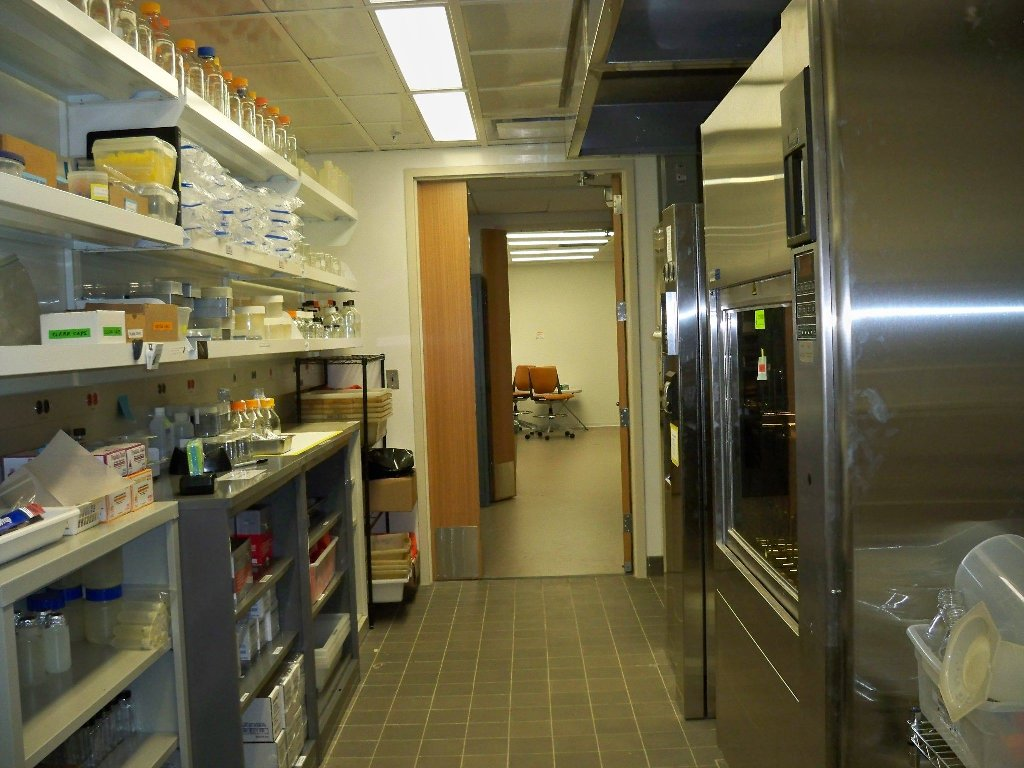 Autoclave and Chemical Room 1